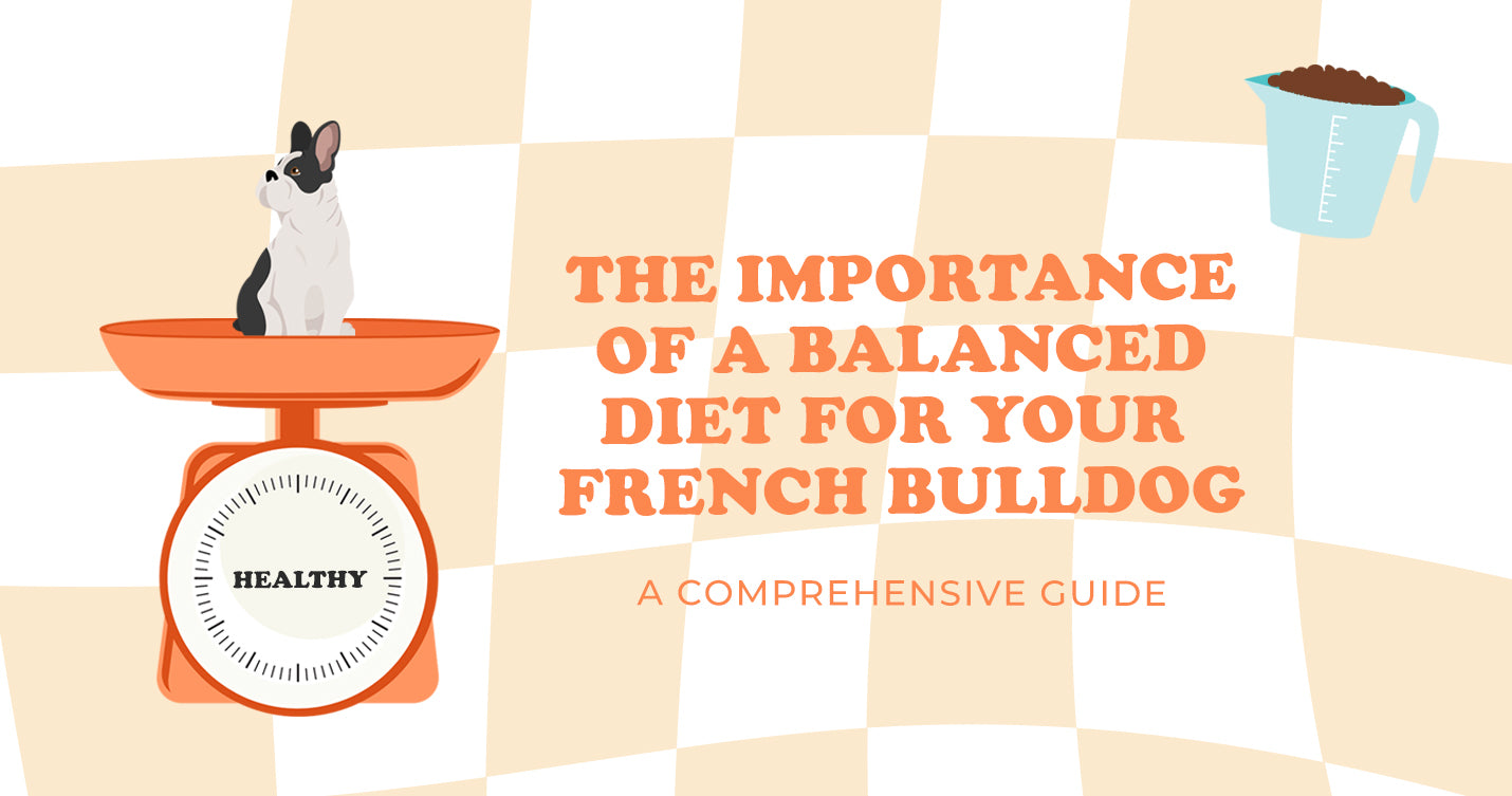 Best Dry Dog Food for French Bulldogs: The Ultimate Guide for Optimal Nutrition