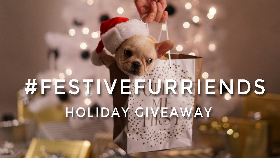 #FestiveFurriends Holiday Giveaway