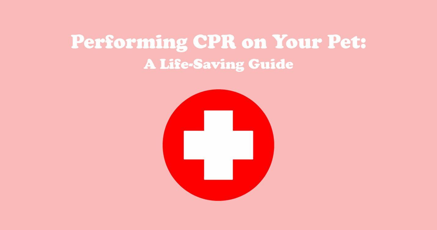 Performing CPR on Your Pet: A Life-Saving Guide