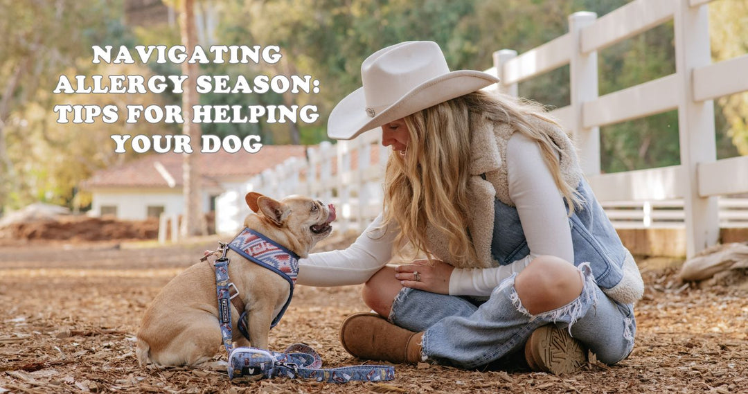 Navigating Allergy Season: Tips for Helping Your Dog