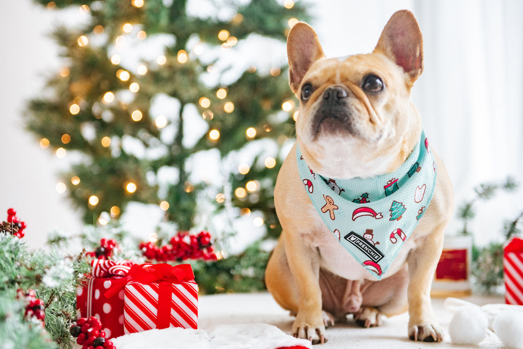 A Very Frenchie Bulldog Gift Guide!