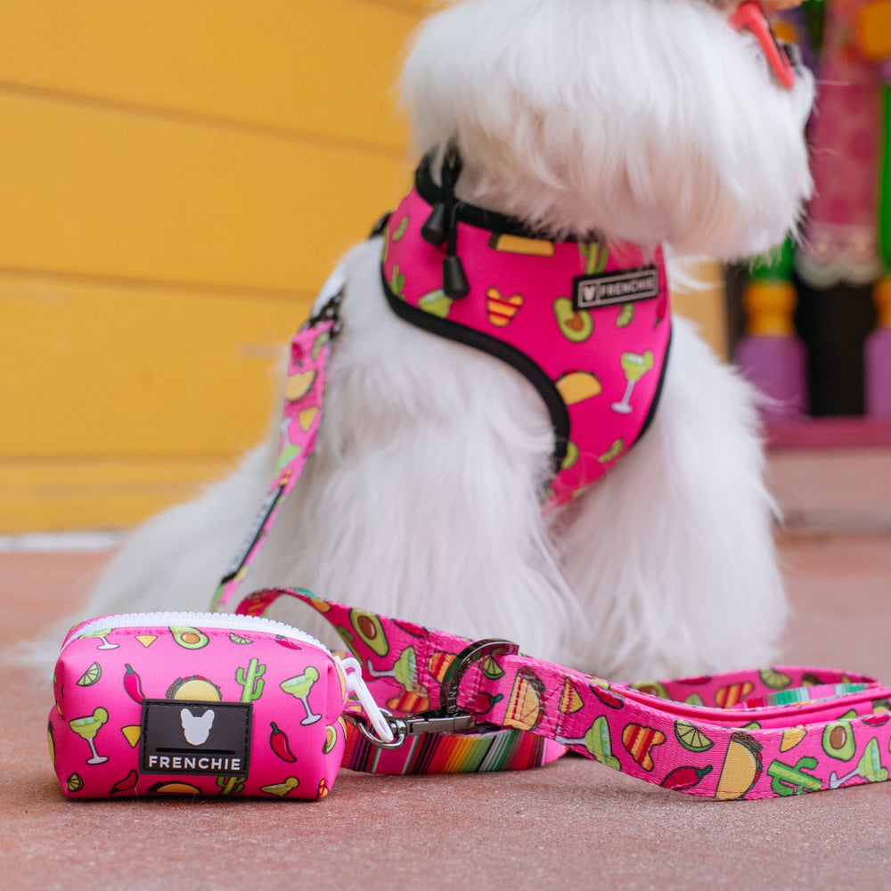 Frenchie Comfort Leash - Taco Tuesday- Pink