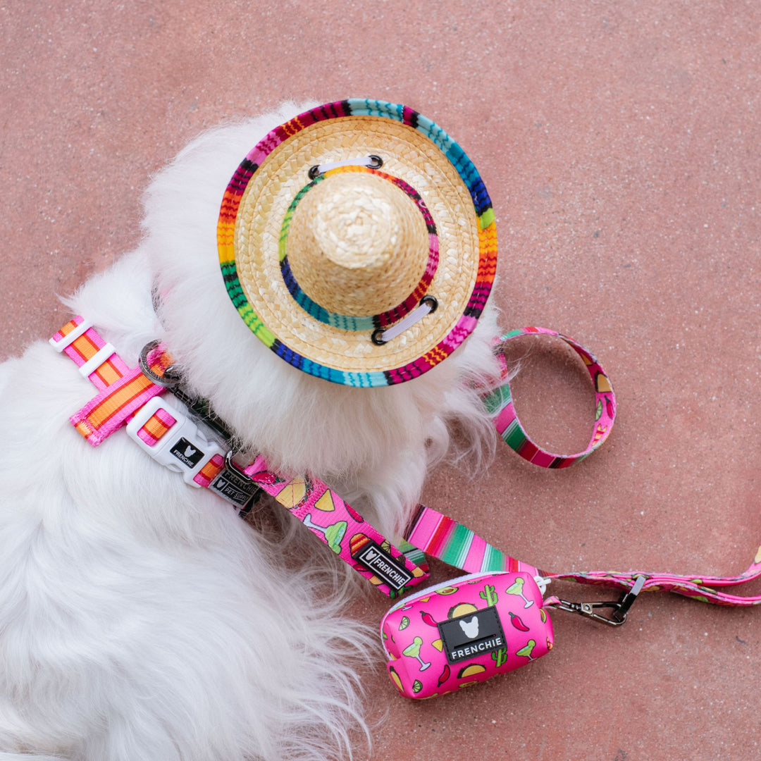 Frenchie Poo Bag Holder - Taco Tuesday- Pink