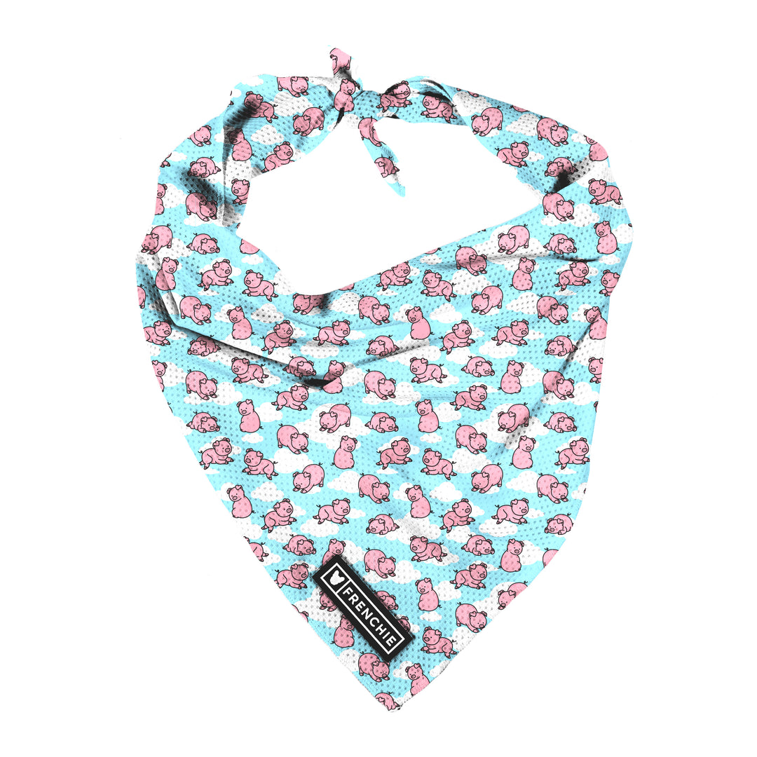 Frenchie Cooling Bandana - When Pigs Fly