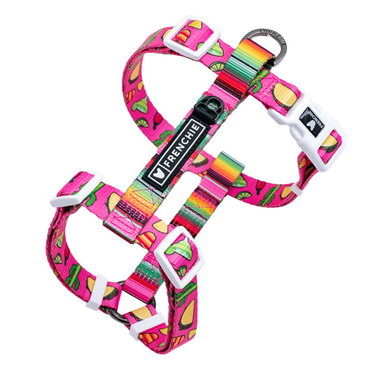 Frenchie Strap Harness - Taco Tuesday- Pink