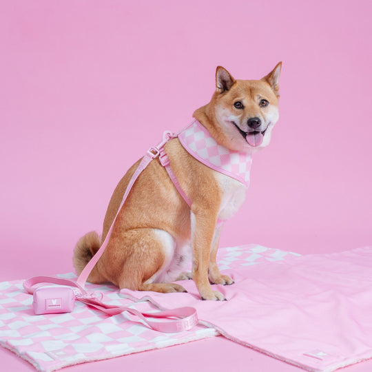 Frenchie Blanket - Pink Bubblegum