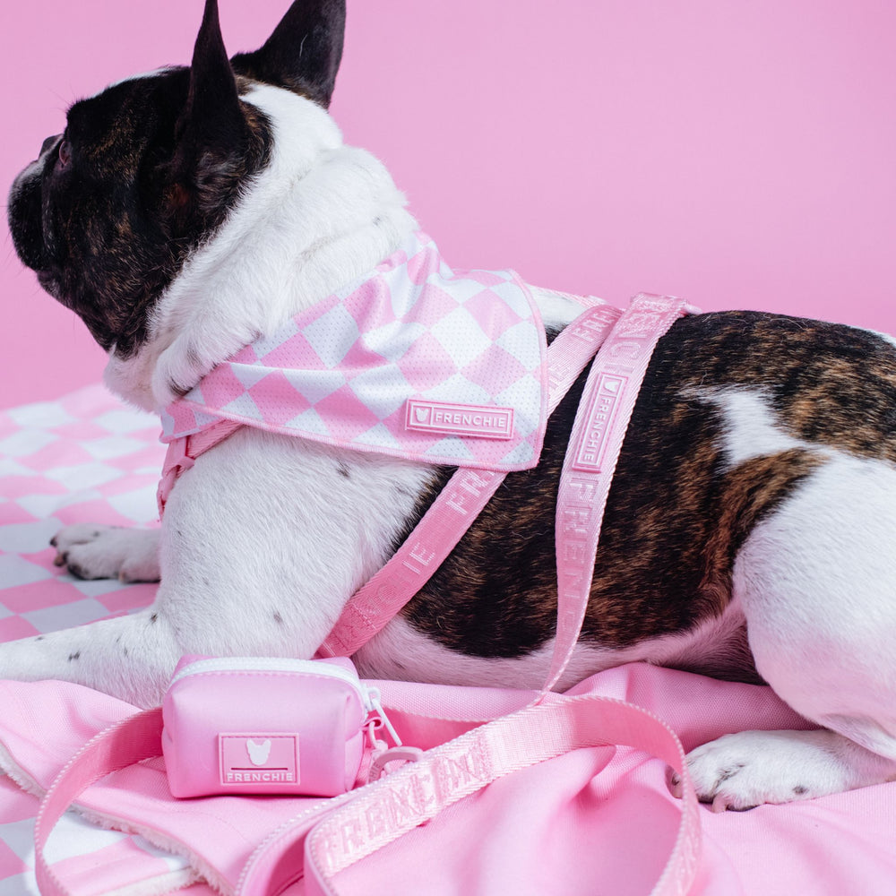 Frenchie Cooling Bandana - Pink Bubblegum Checkered
