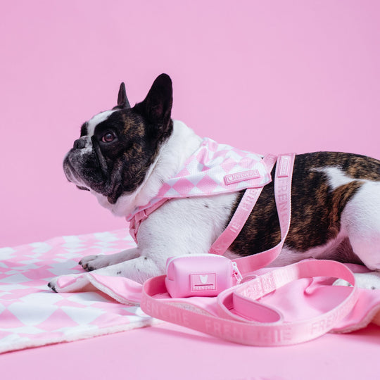 Frenchie Cooling Bandana - Pink Bubblegum Checkered