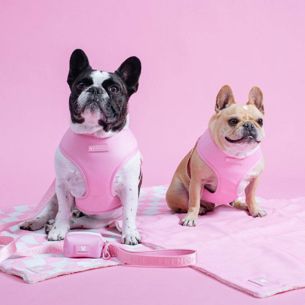 Frenchie Duo Reversible Harness - Pink Bubblegum