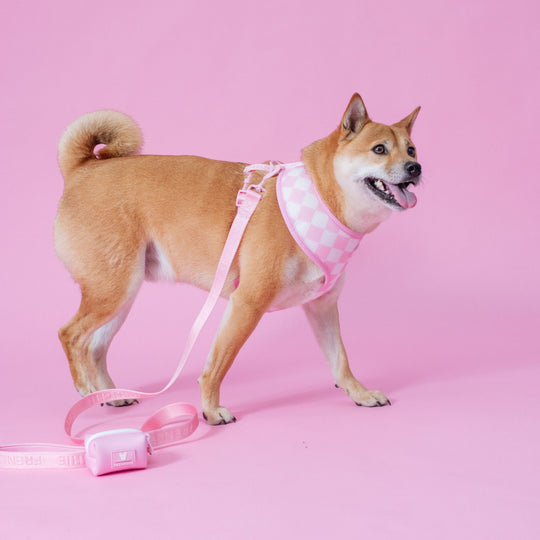 Frenchie Duo Reversible Harness - Pink Bubblegum