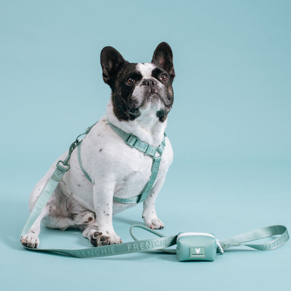 Frenchie Strap Harness - Sage