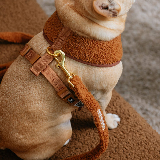 Frenchie Comfort Leash - Teddy Brown