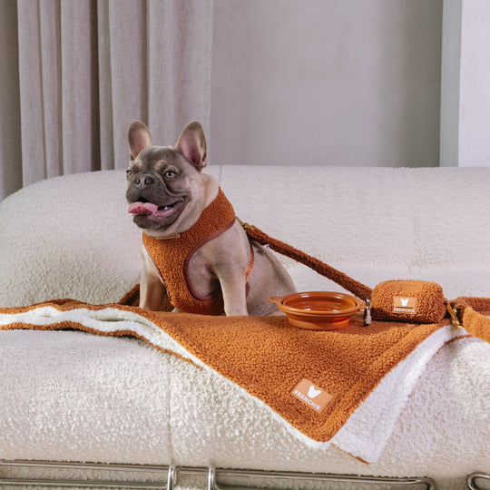 Frenchie Blanket - Teddy Brown