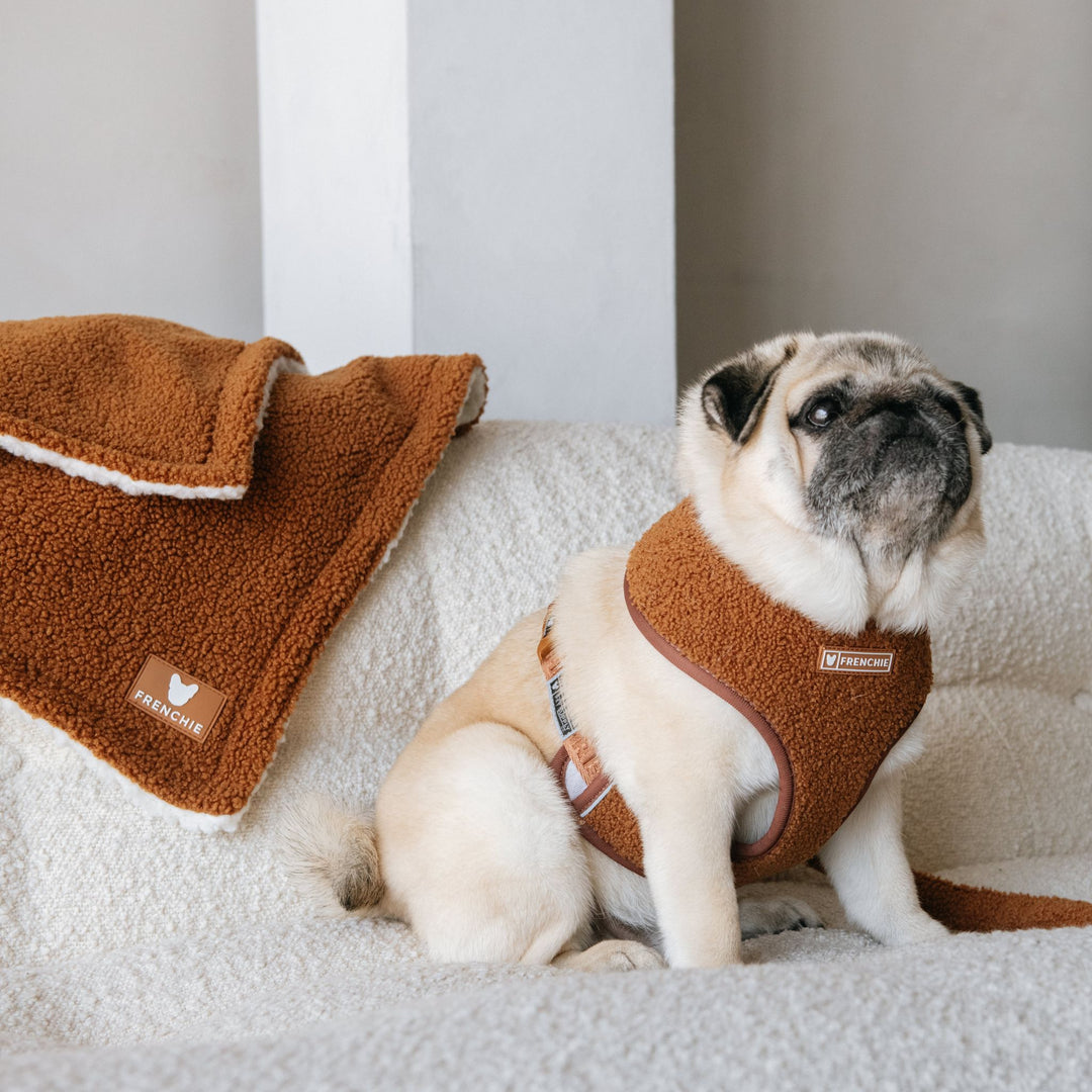 Frenchie Duo Reversible Harness - Teddy Brown