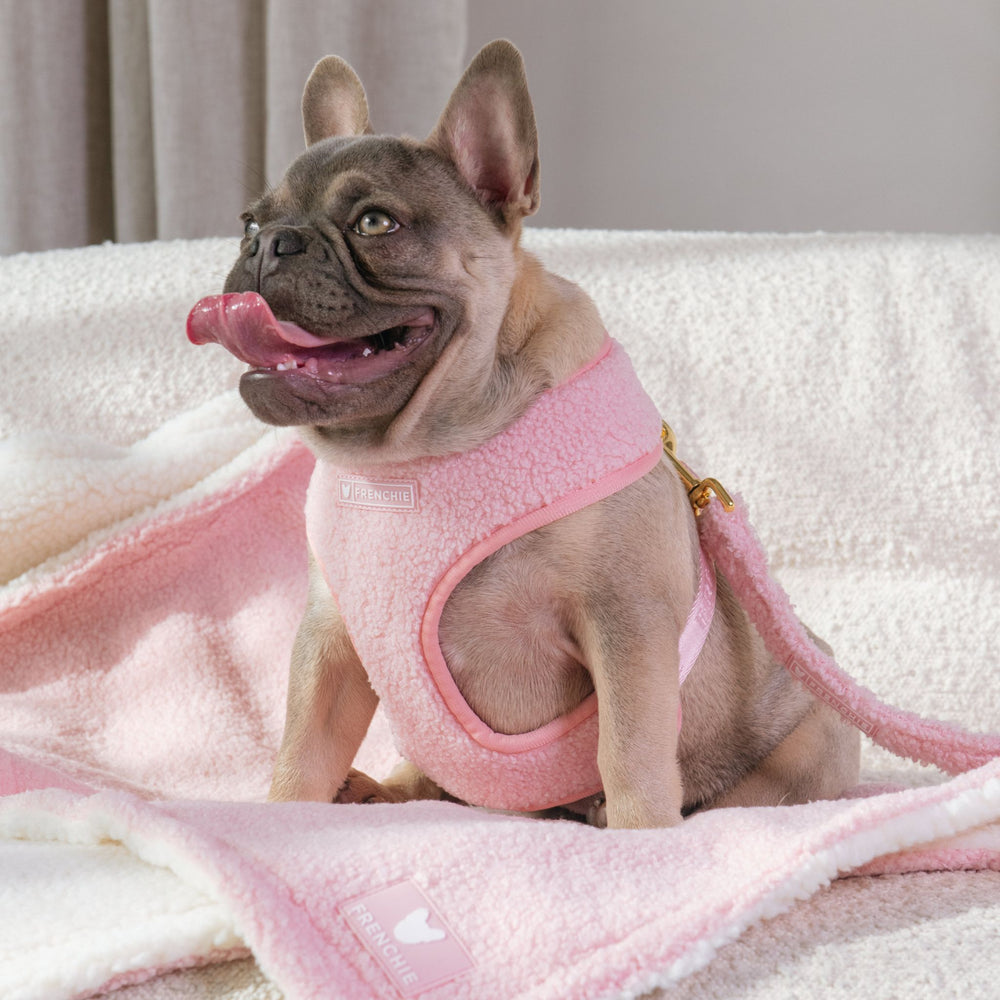 Frenchie Duo Reversible Harness - Teddy Pink