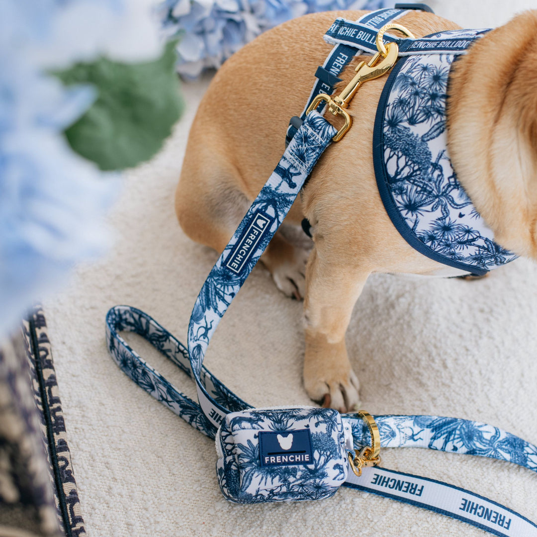 Frenchie Comfort Leash - Toile- Blue