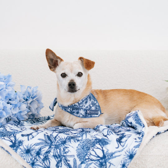 Frenchie Blanket - Toile- Blue
