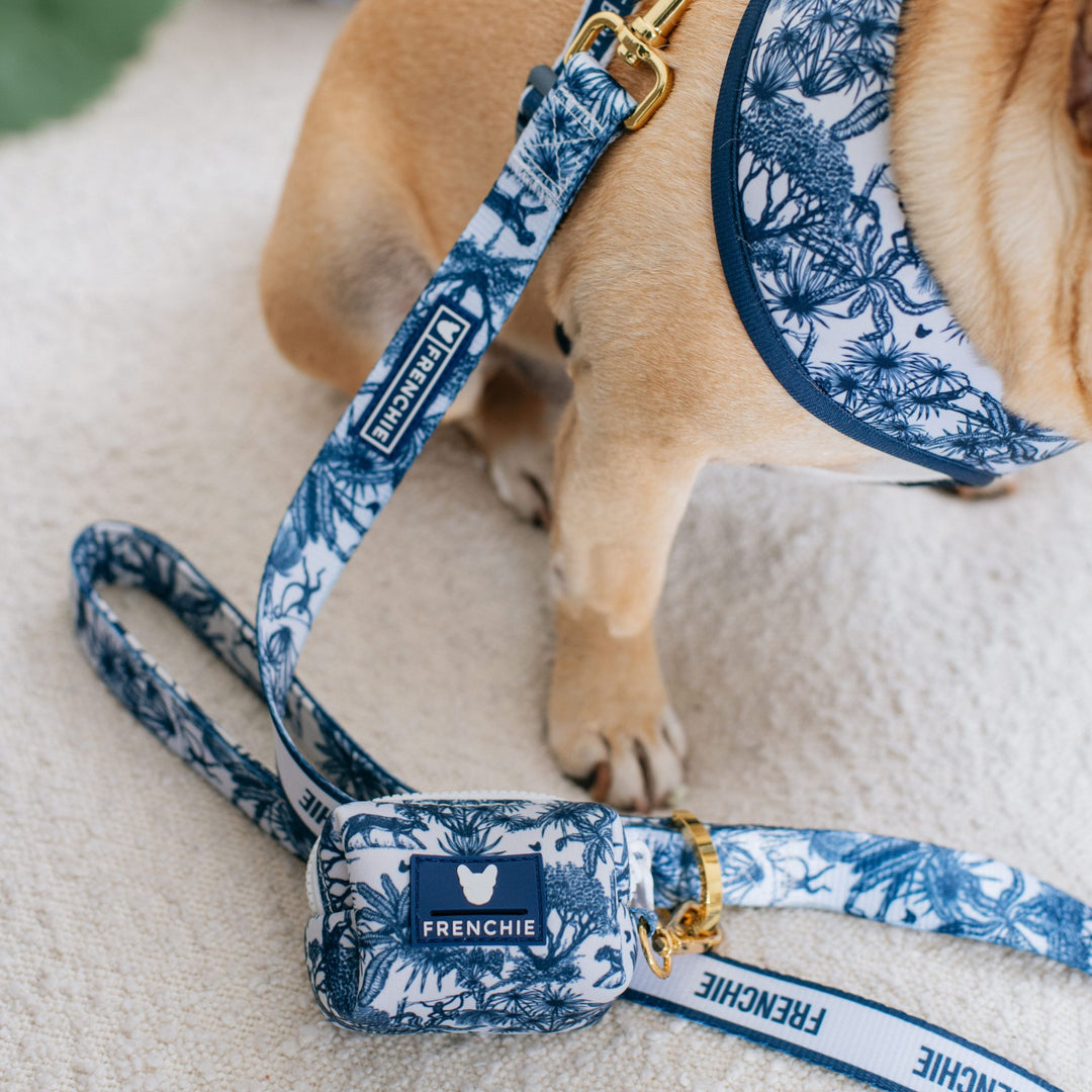 Frenchie Comfort Leash - Toile- Blue