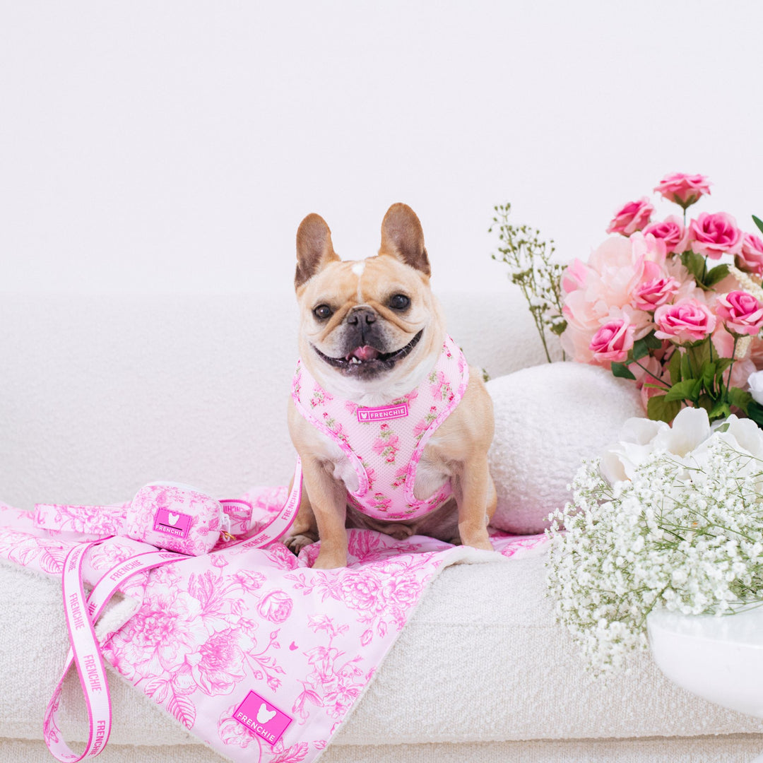 Frenchie Blanket - Toile- Pink