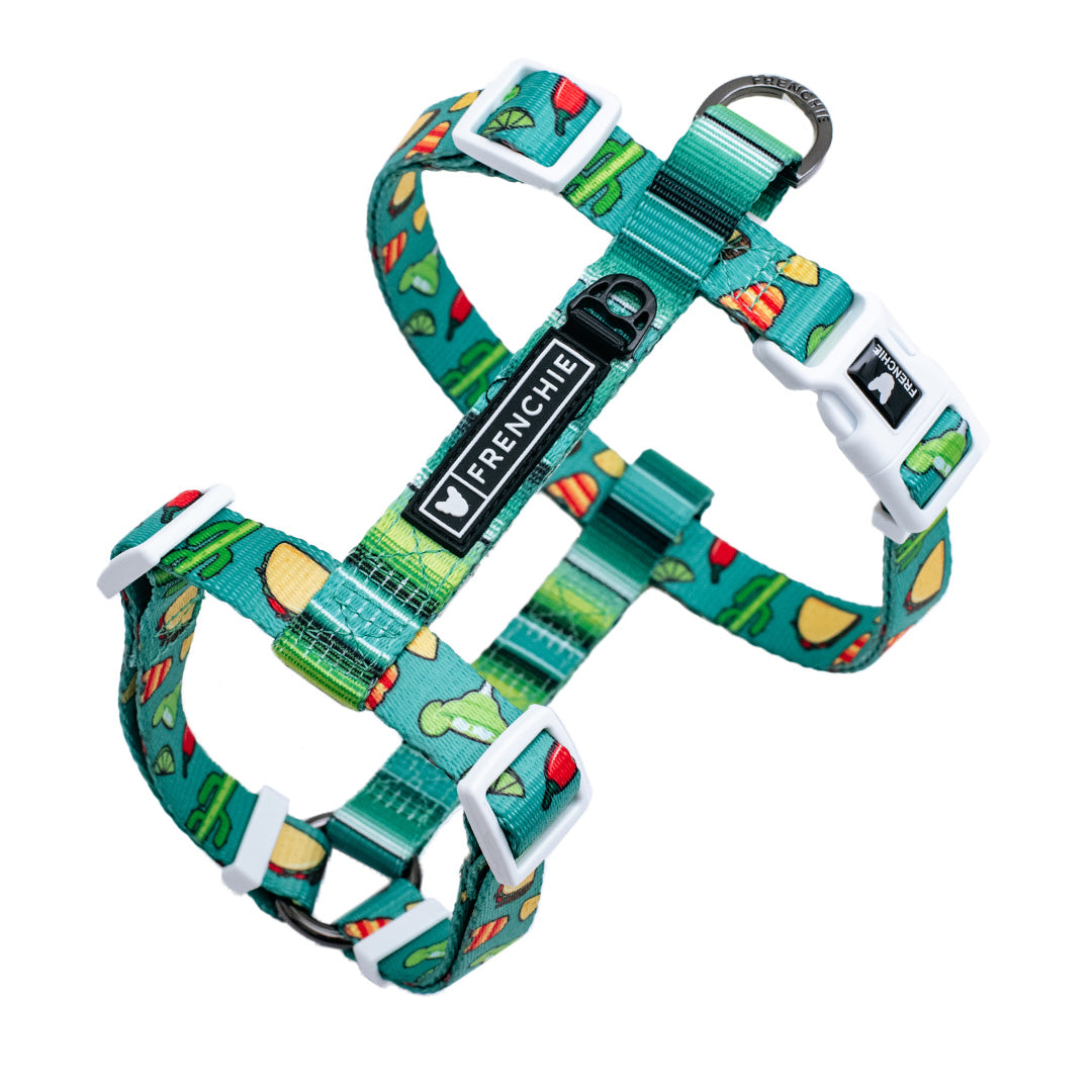 Frenchie Strap Harness - Taco Tuesday- Green