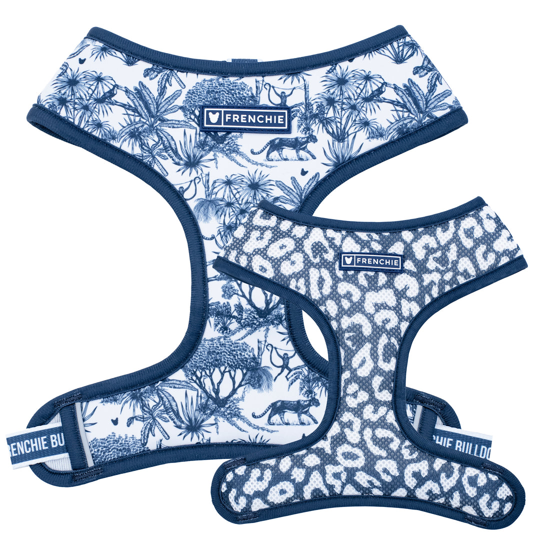 Frenchie Duo Reversible Harness - Toile- Blue