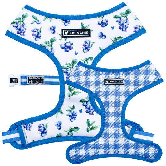 Frenchie Duo Reversible Harness - Blueberry
