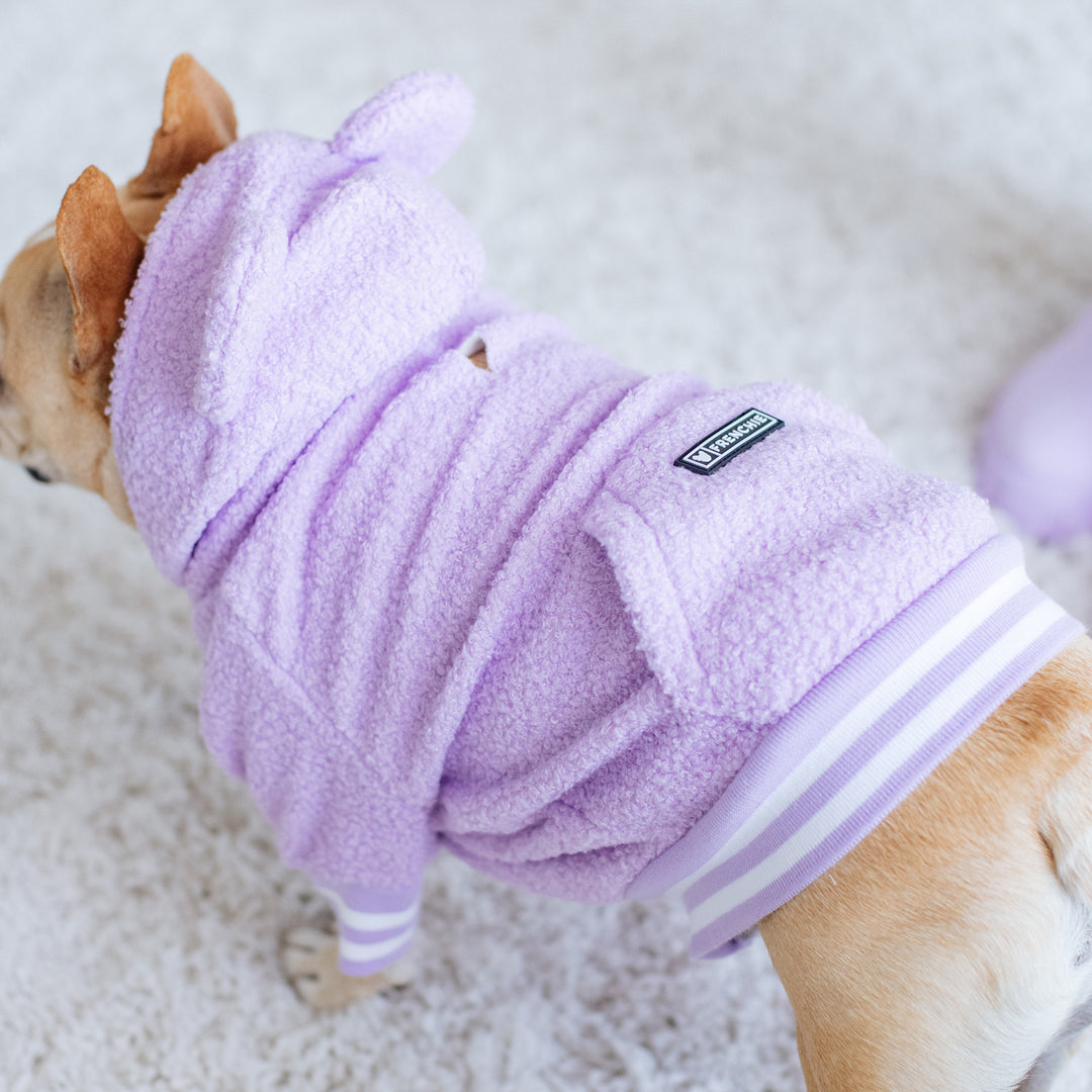 Frenchie Dog Hoodie - Purple Teddy