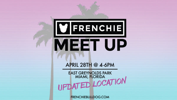 Miami Frenchie Bulldog Meet Up🌴☀️