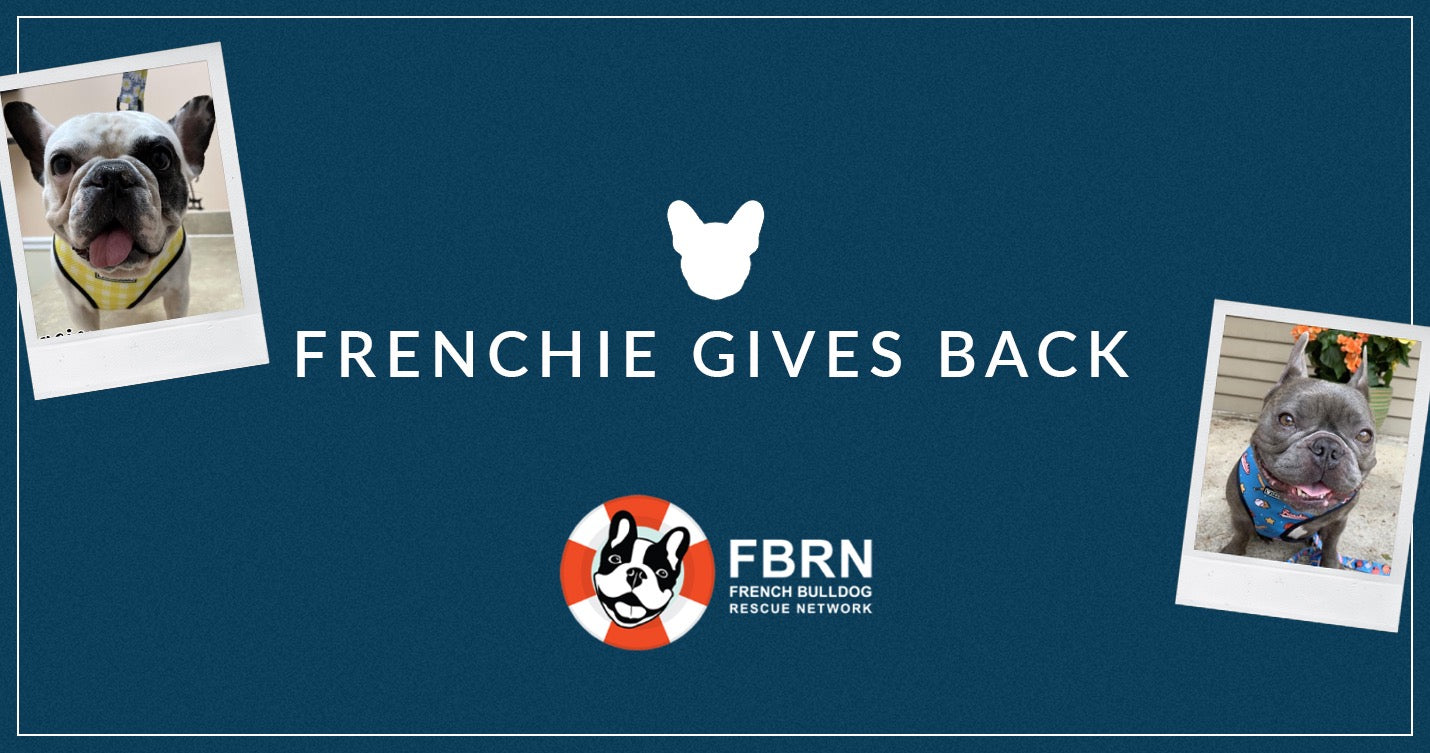 Frenchie Gives Back: French Bulldog Rescue Network