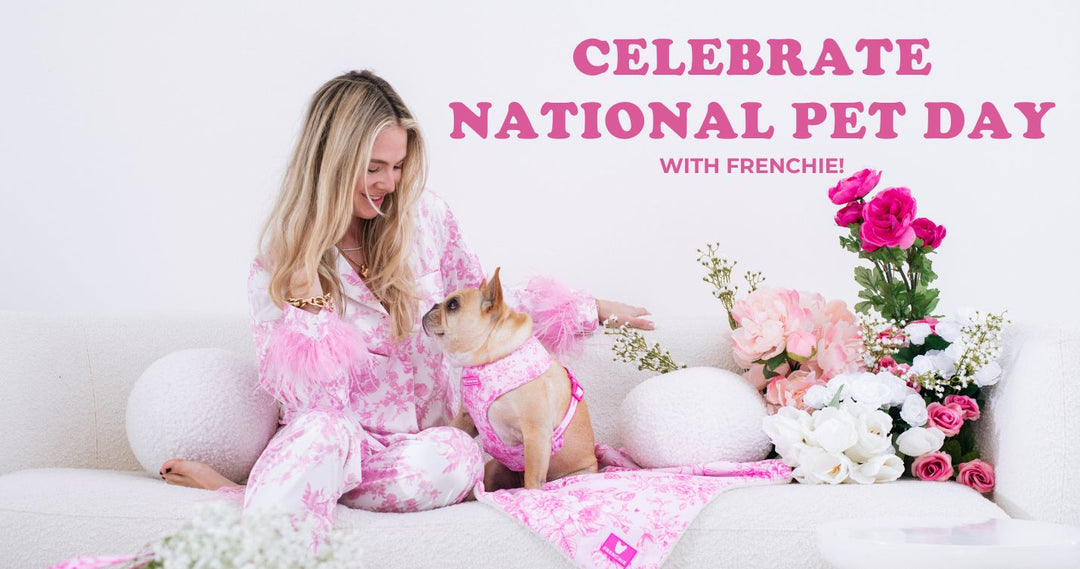 Celebrate National Pet Day with FRENCHIE: New Accessories, Walks, and Playtime Galore!