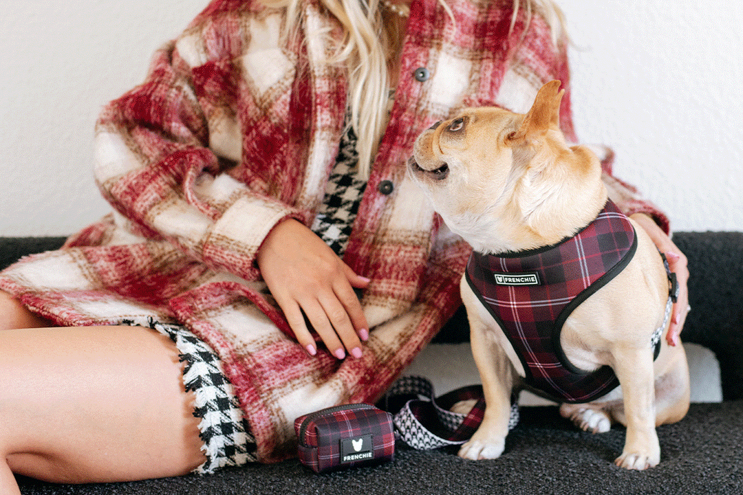 The best dog names of 2022