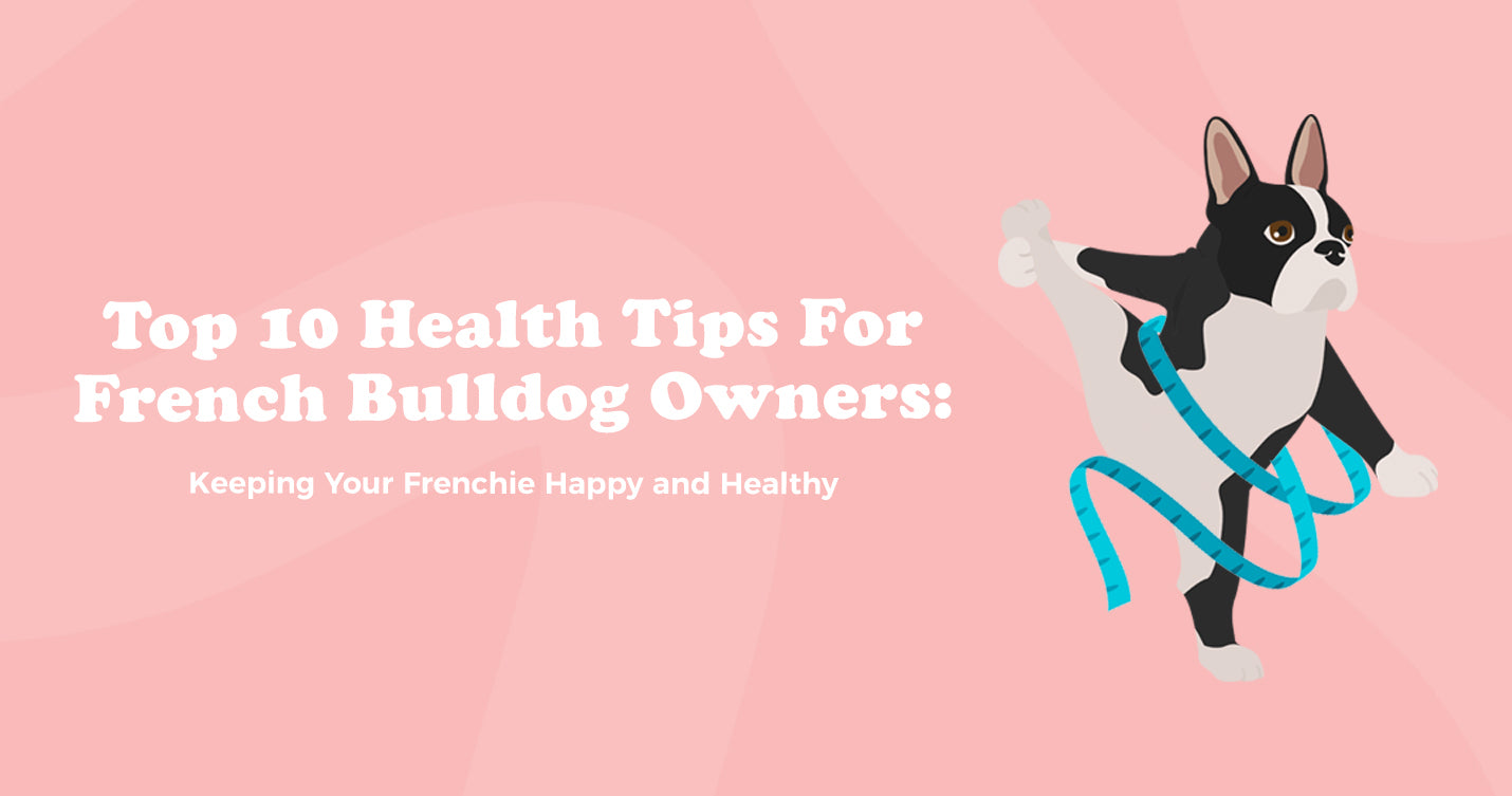 Top 10 Health Tips for French Bulldog Owners: Keeping Your Frenchie Happy and Healthy