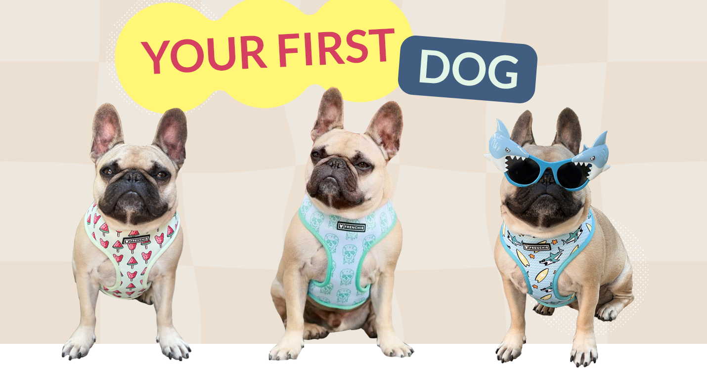 Your First Dog