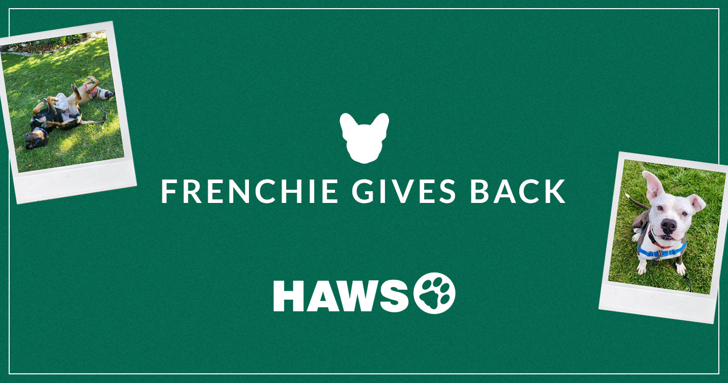 Frenchie Gives Back: Humane Animal Welfare Service