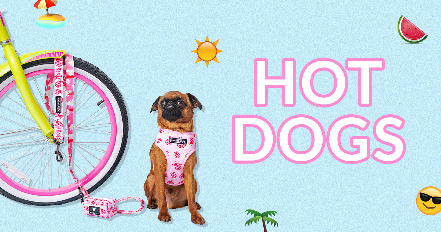 Hot Dogs