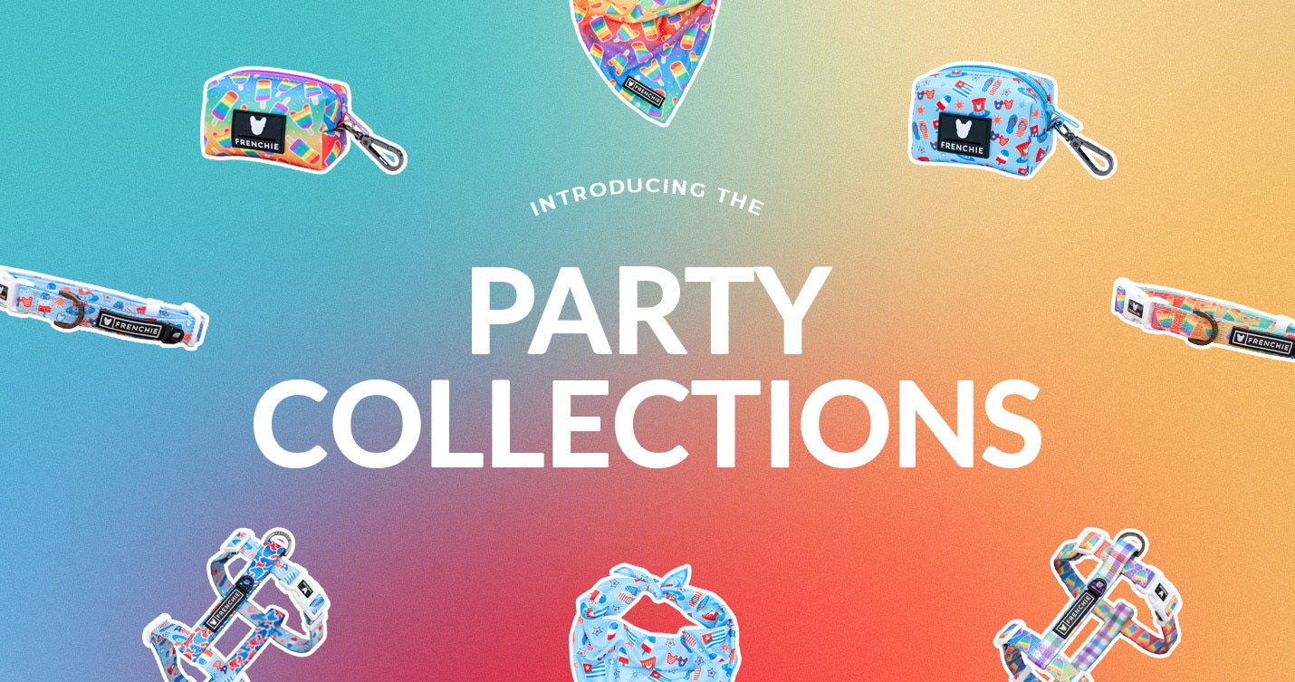 Introducing the Party Collections!