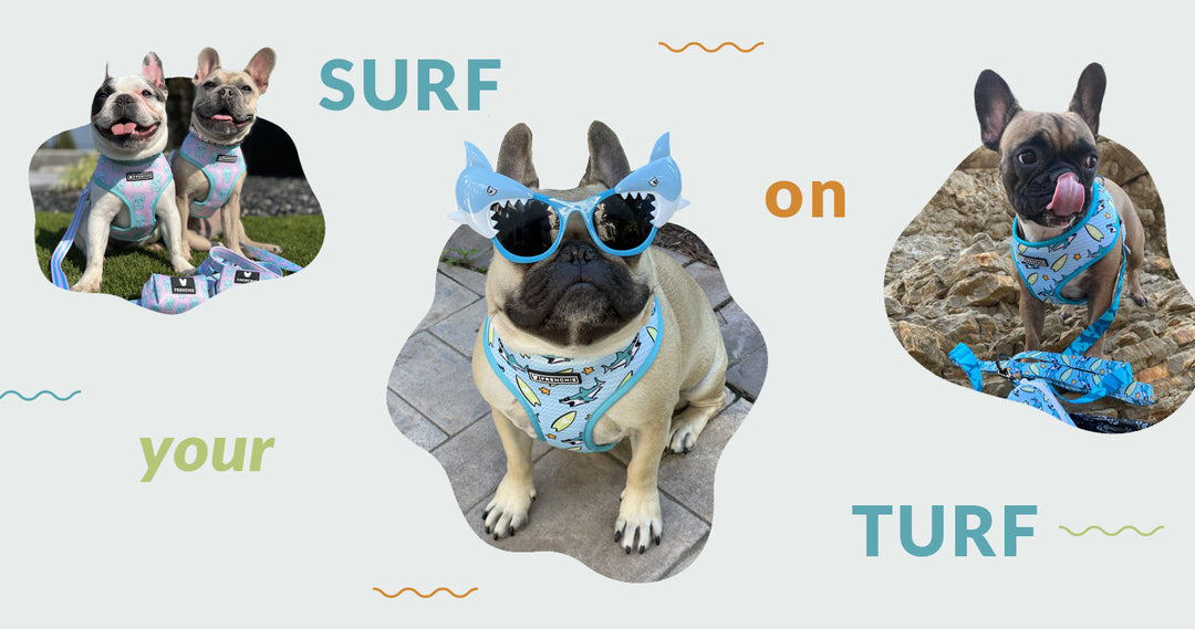 Surf on Your Turf - The Sharky Collection