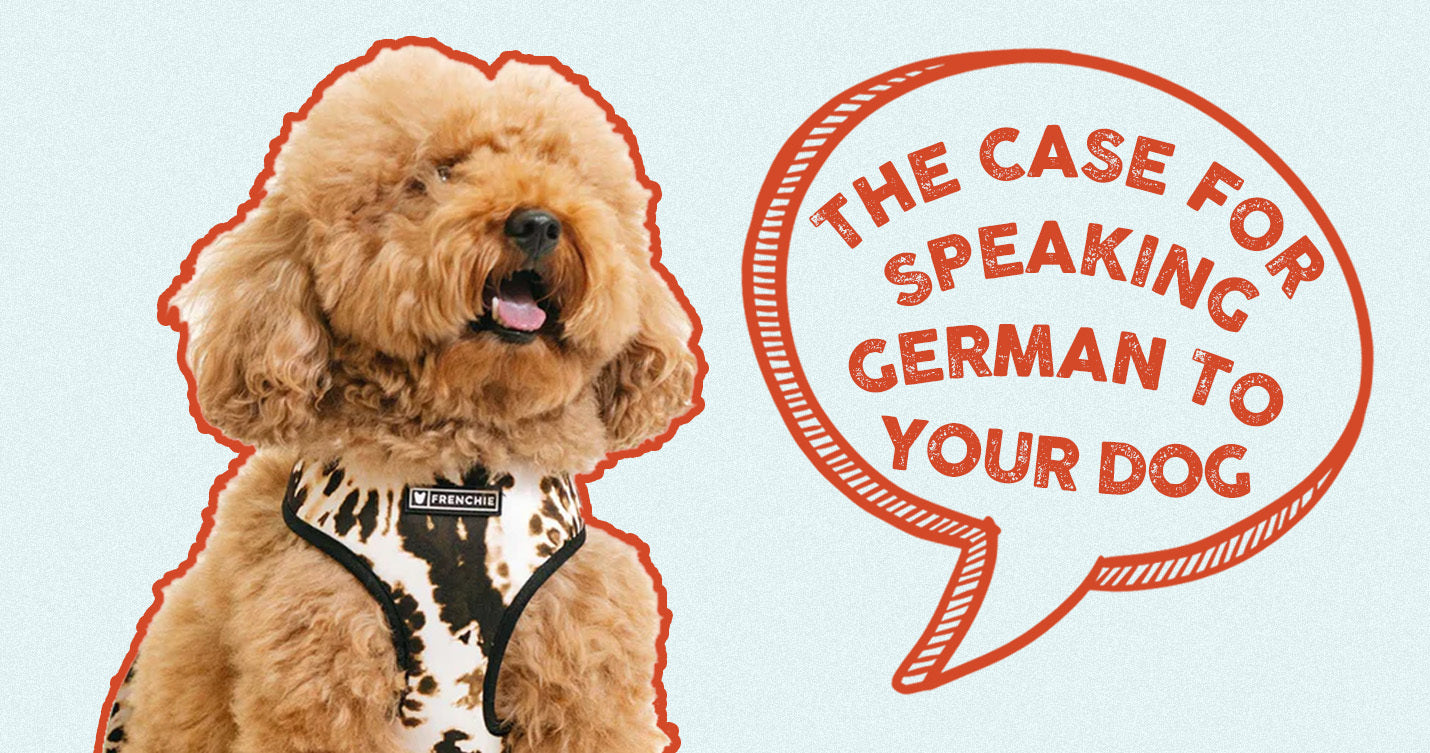 The Case for Speaking German to Your Dog