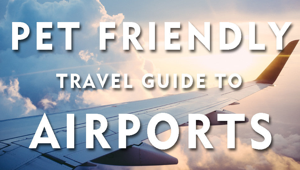 THE PET FRIENDLY TRAVEL GUIDE - AIRPORTS