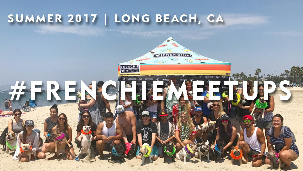 Frenchie Meet Up - Long Beach