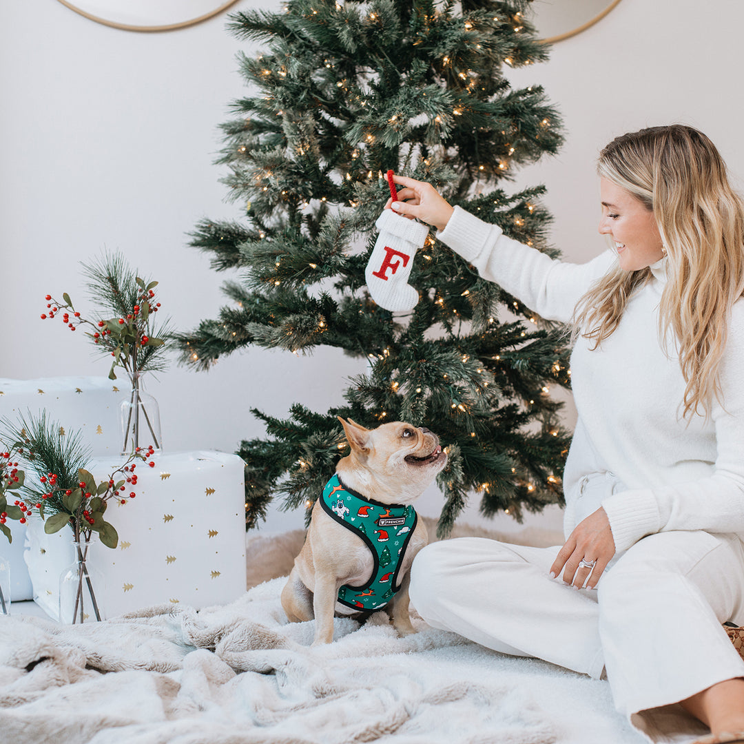 Frenchie Abominable Snowman Collection