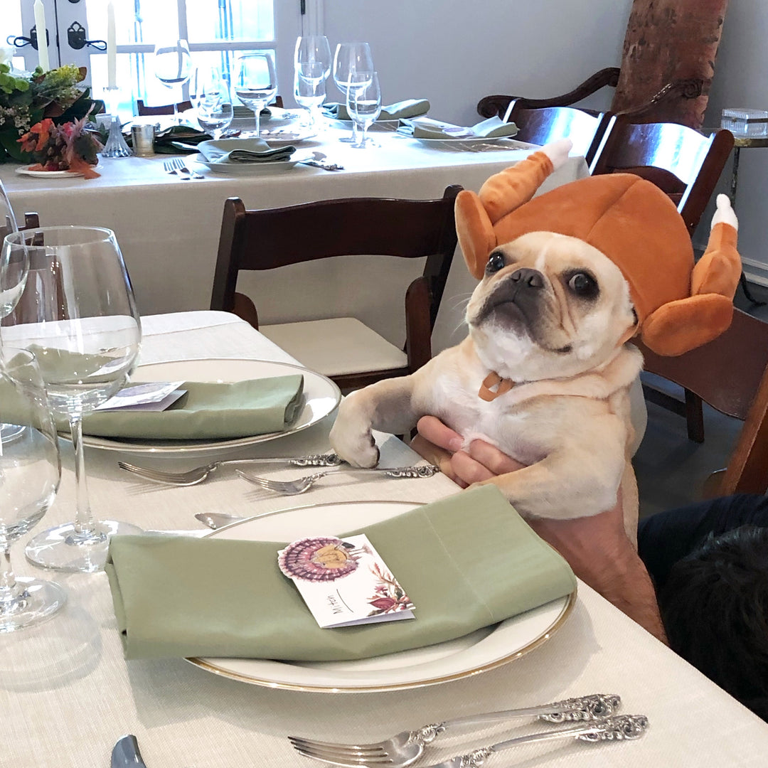 Dog-Safe Holiday Treats (For When Your Frenchie Gives You That Look 👀)