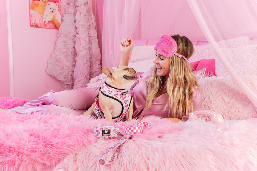 How to Make Smarter Choices for Your Pet’s Health