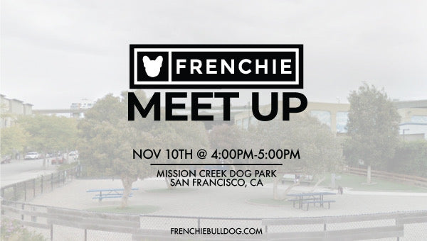 Frenchie Meet Up- San Francisco, California