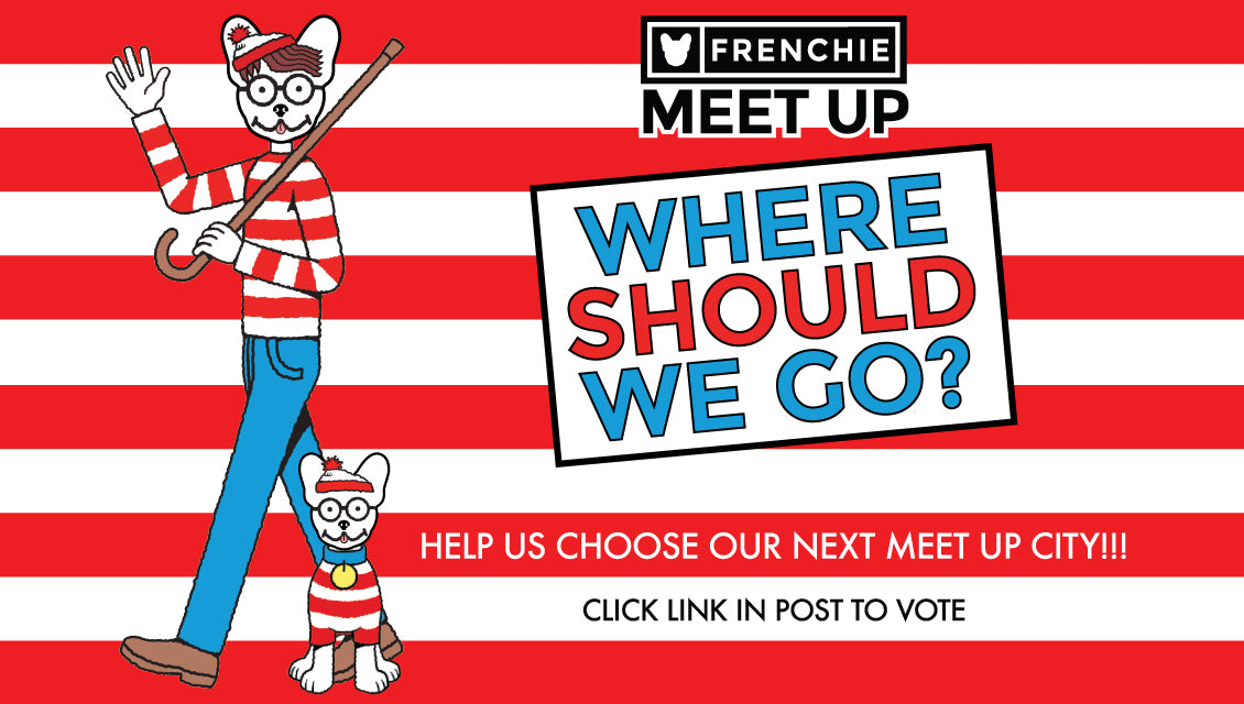 Frenchie Bulldog Meet Ups- Where Should We Go?✈️