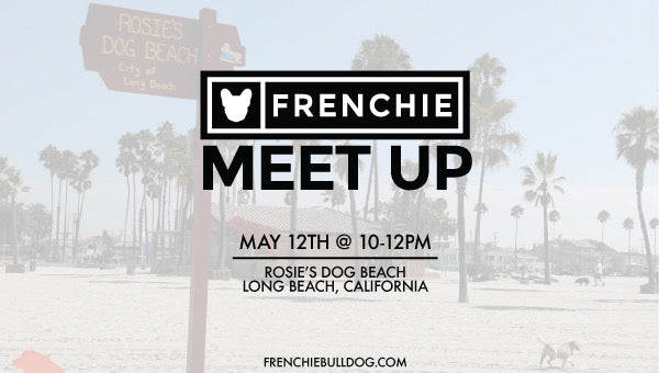 Frenchie Bulldog Meet Up- Long Beach, California Meet Up 🌴