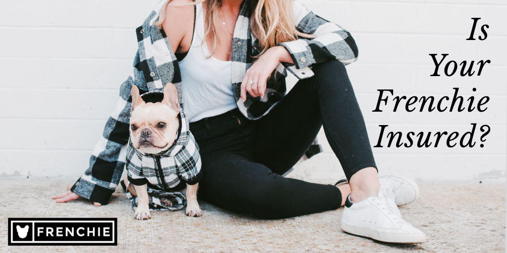Is Your Frenchie Insured?