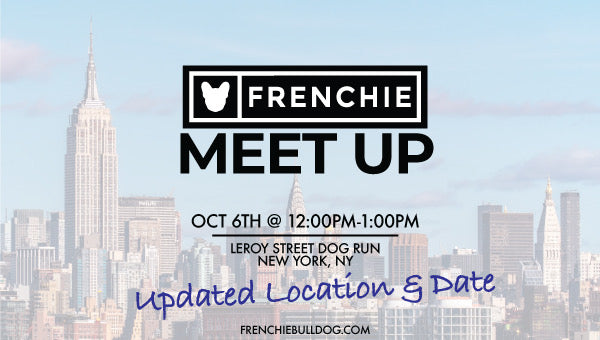 Frenchie Meet Up- New York, New York