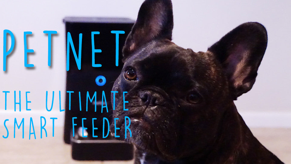 PETNET