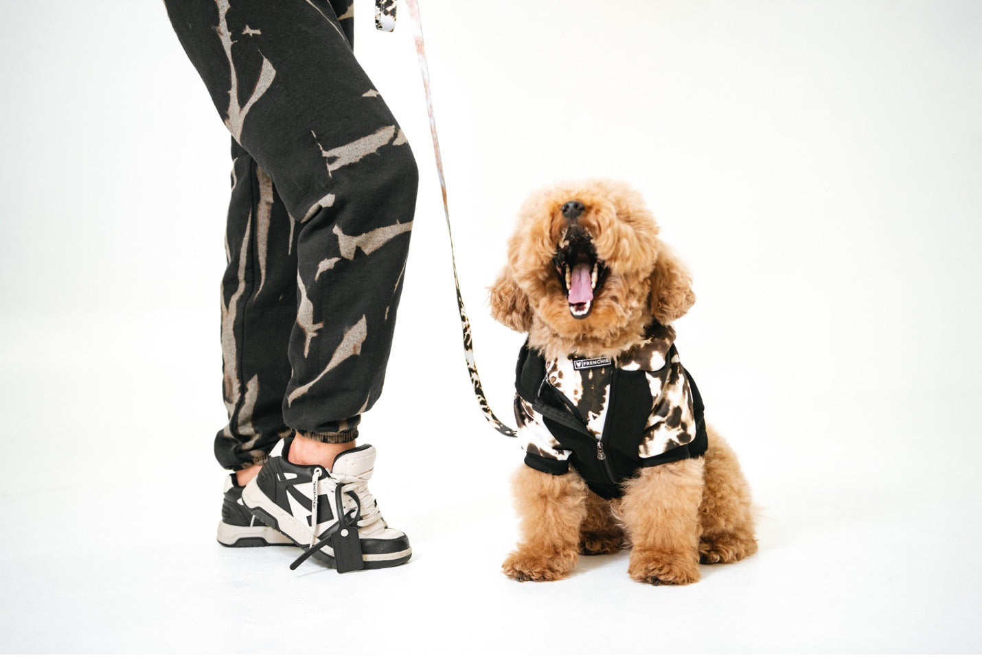 SOS! My dog is bored -- and driving me crazy!